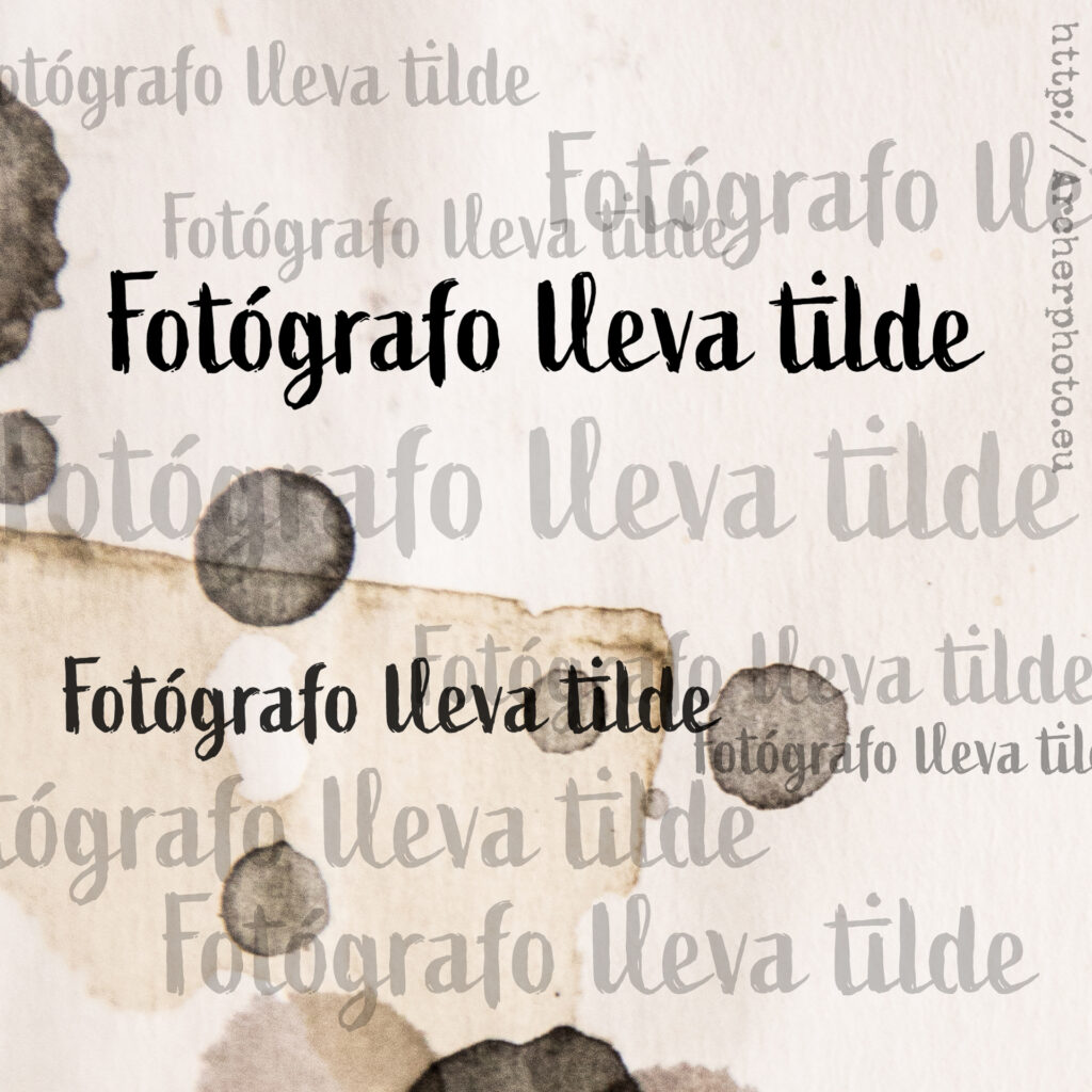 ¿Fotógrafo lleva tilde?