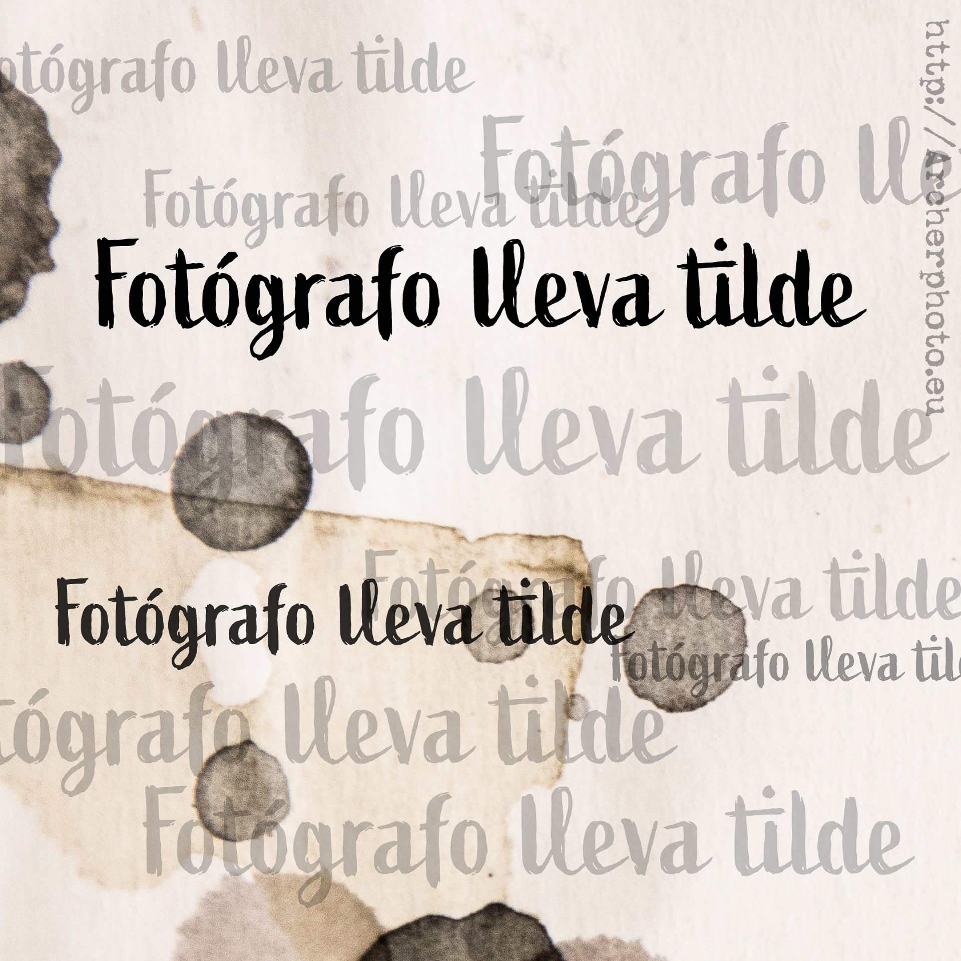 ¿Fotógrafo lleva tilde?