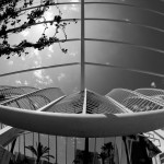 Umbracle. Ciudad de las Artes y las Ciencias de Valencia de Santiago Calatrava. Foto: Archerphoto
