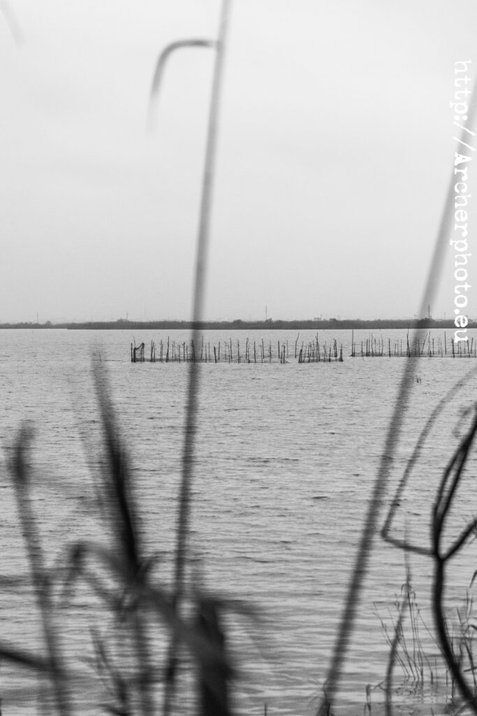 7 març 2021 Albufera. 5 fotos sin excusas