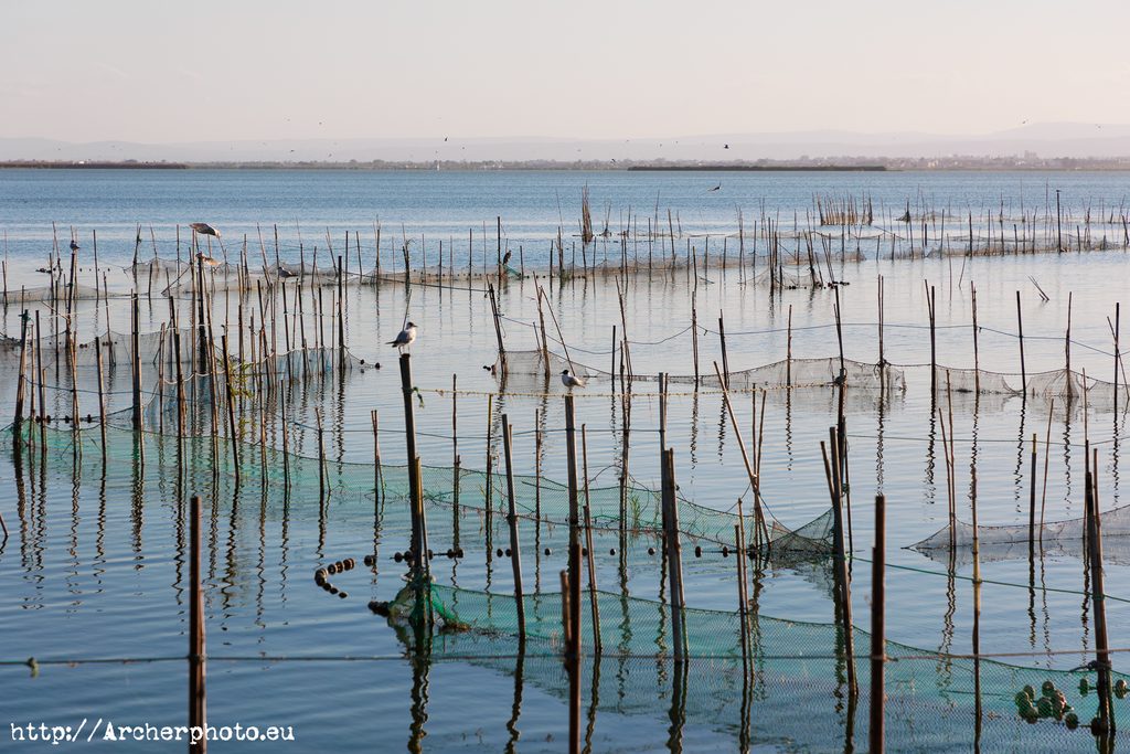 Fotos en la Albufera de València