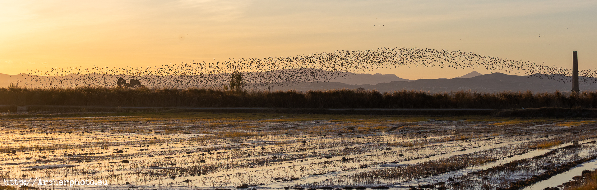 Fotos en la Albufera de València