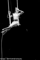 Circo