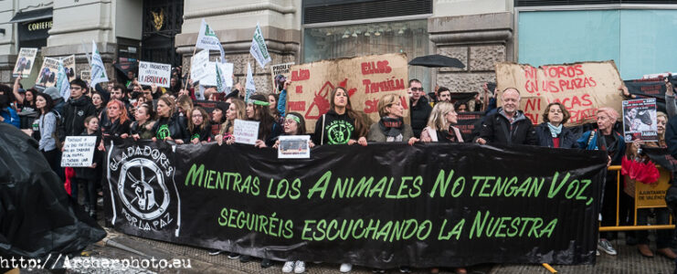 Manifestación antitaurina en Valencia, por Archerphoto, fotógrafo prfesional