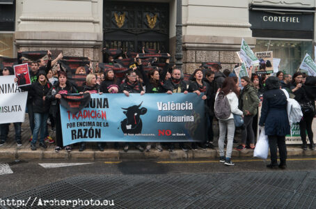 Manifestación antitaurina en Valencia por Archerphoto, foografo profesional