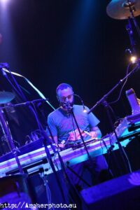 Tiger menja zebra. Sónar 2013, Barcelona, por Sergi Albir, Archerphoto, fotógrafo profesional