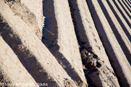 Fotos artísticas - Sergi Albir fotògraf València