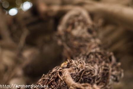 Fotografía artística - Archerphoto -Fotógrafo profesional Valencia