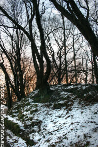 Dortmund por Archerphoto 4